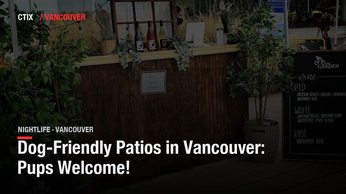 Dog-Friendly Patios in Vancouver: Pups Welcome!